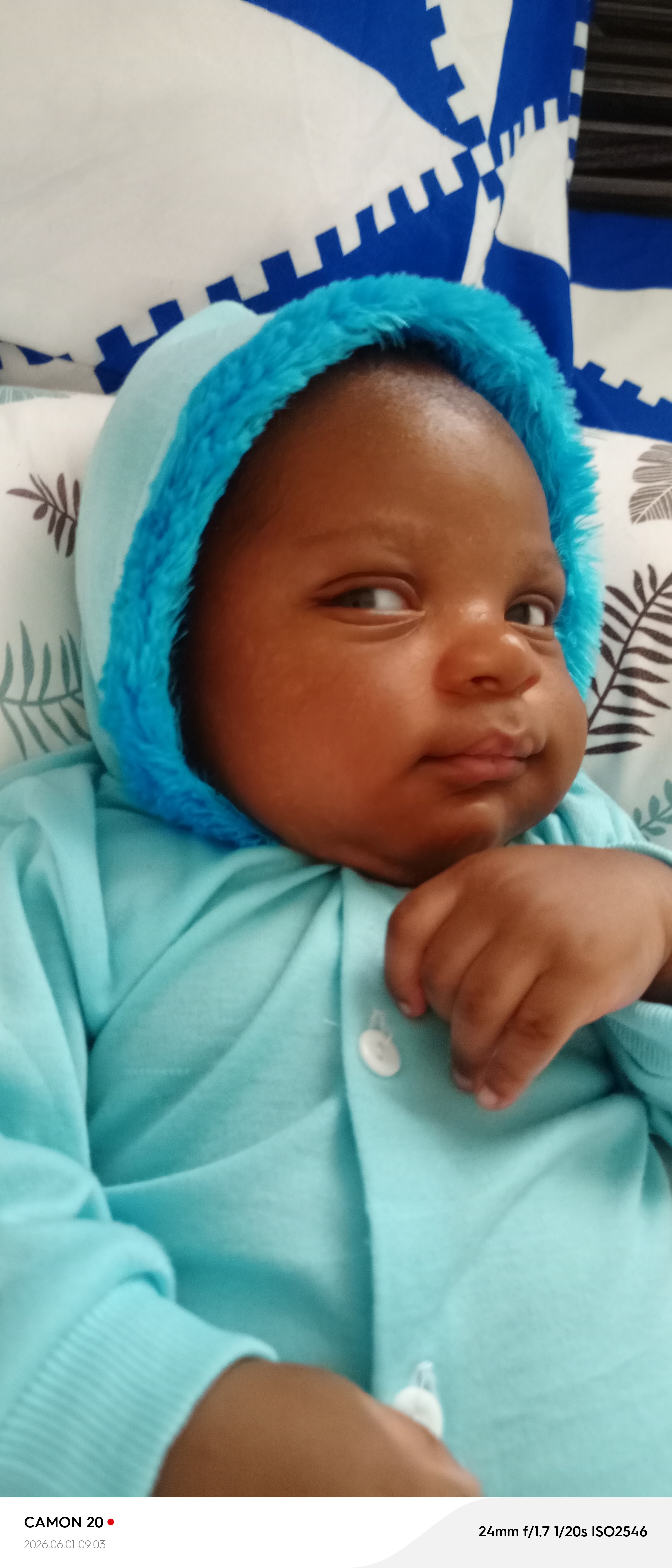 OLUWANIFEMI FALODUN