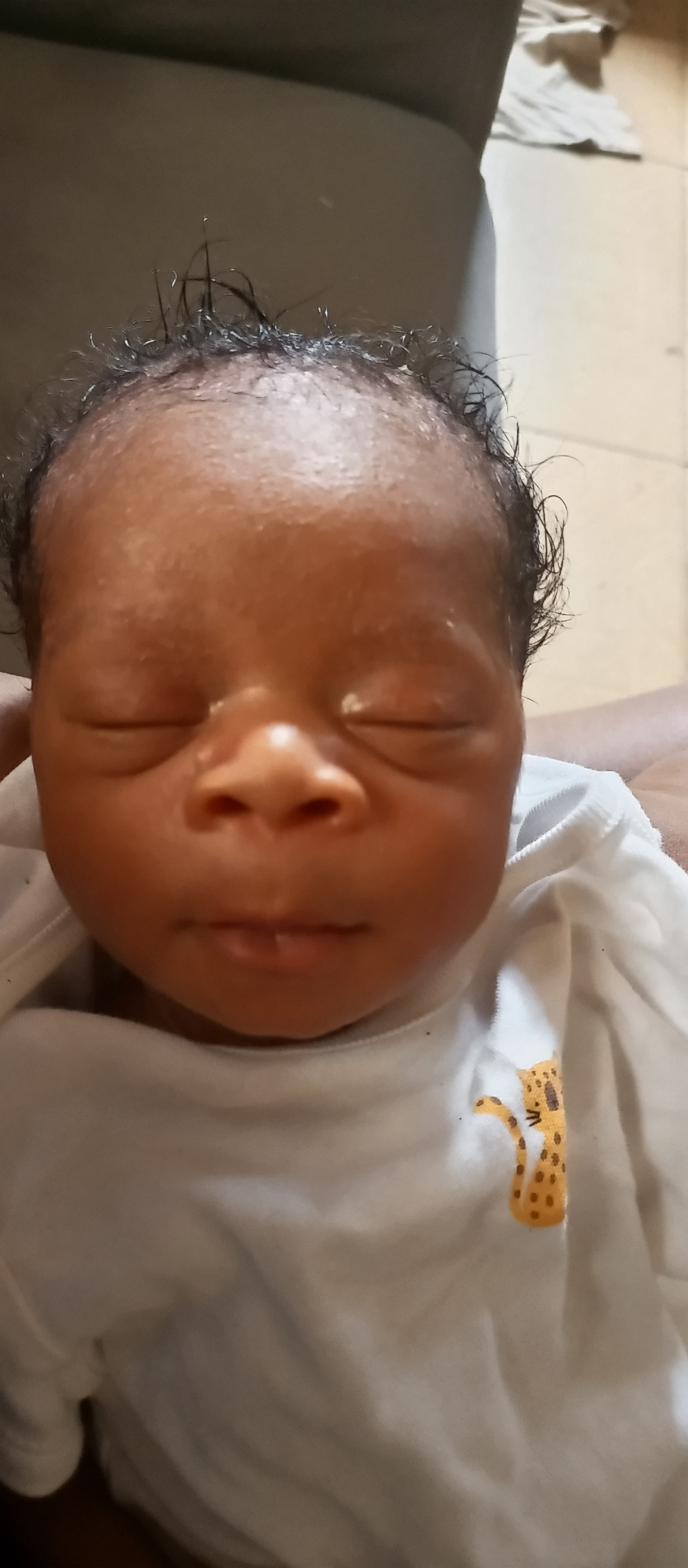 Covenant Joshua
